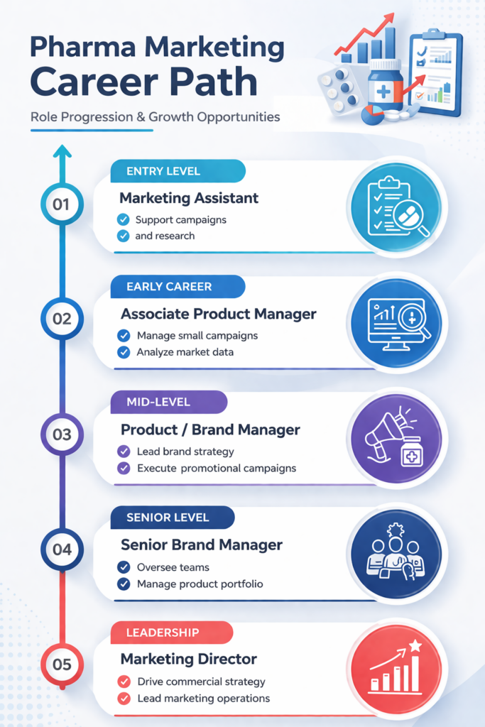 Pharmaceutical marketing career progression from marketing assistant to marketing director