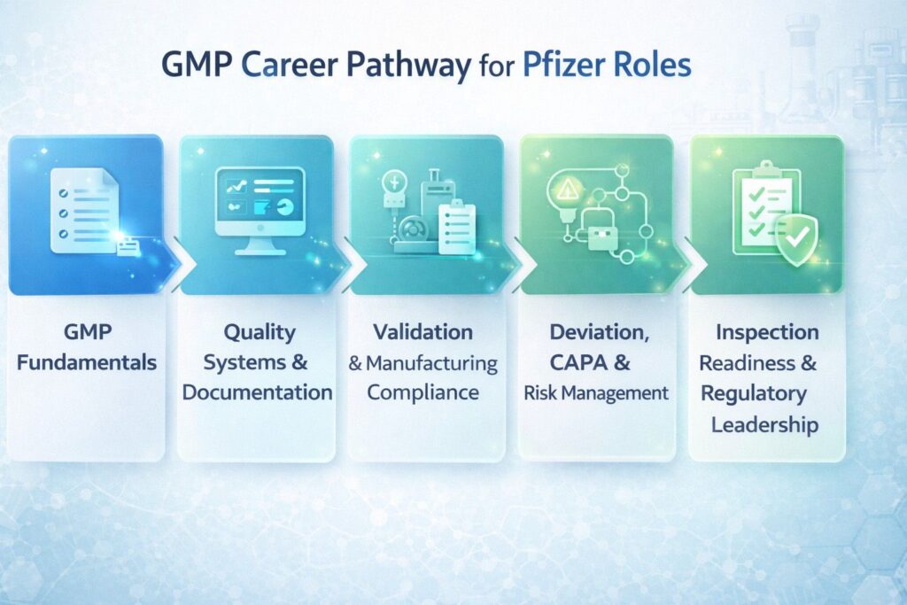 GMP career pathway for Pfizer pharmaceutical roles showing progression from GMP training to validation and quality systems experience