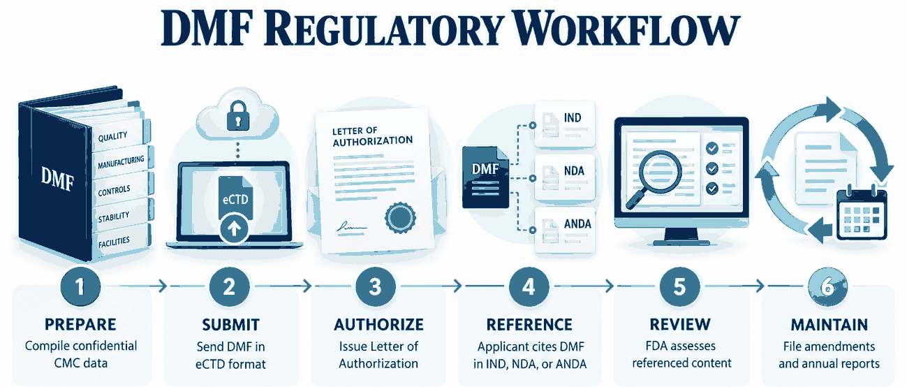 DMF preparation, authorization, referencing, review, and maintenance workflow.