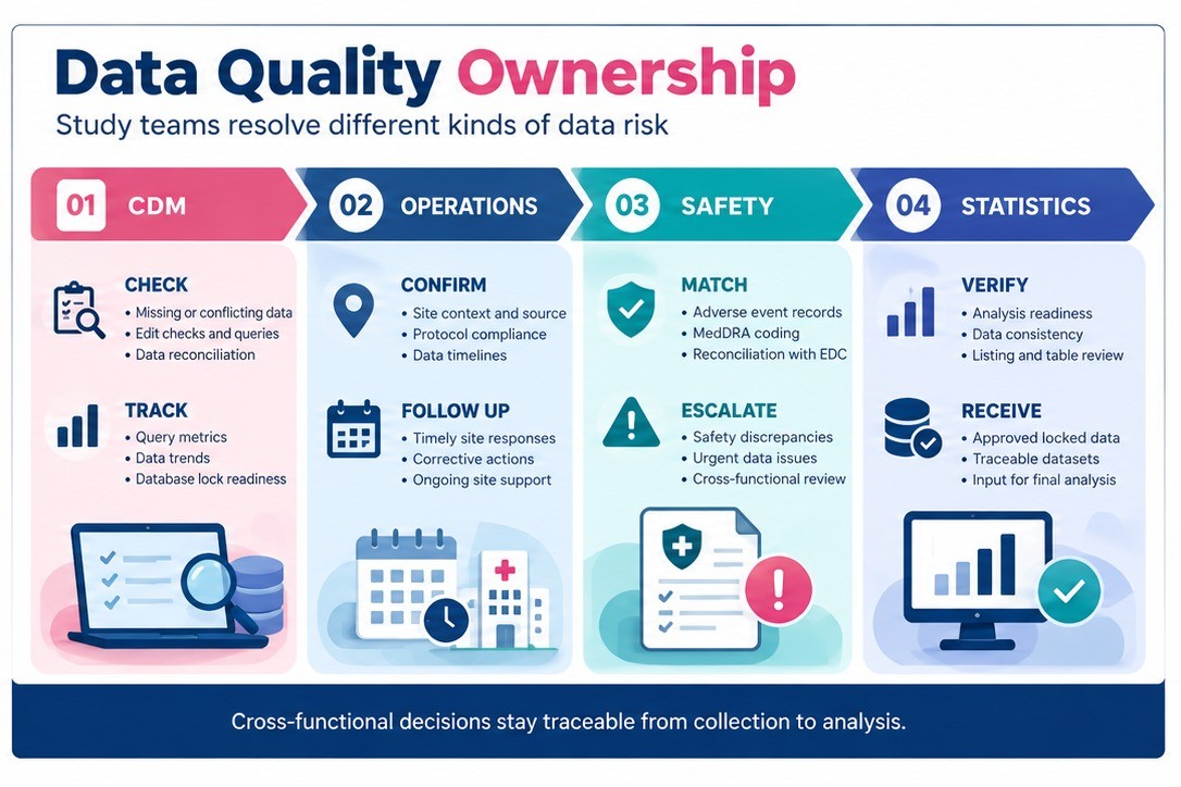 CDM, operations, safety, and statistics share distinct quality handoffs