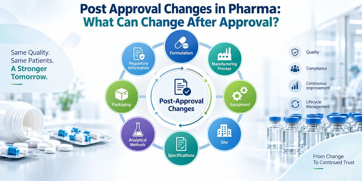 Infographic showing common post approval CMC changes involving formulation, manufacturing, equipment, sites, specifications, analytical methods, and packaging.
