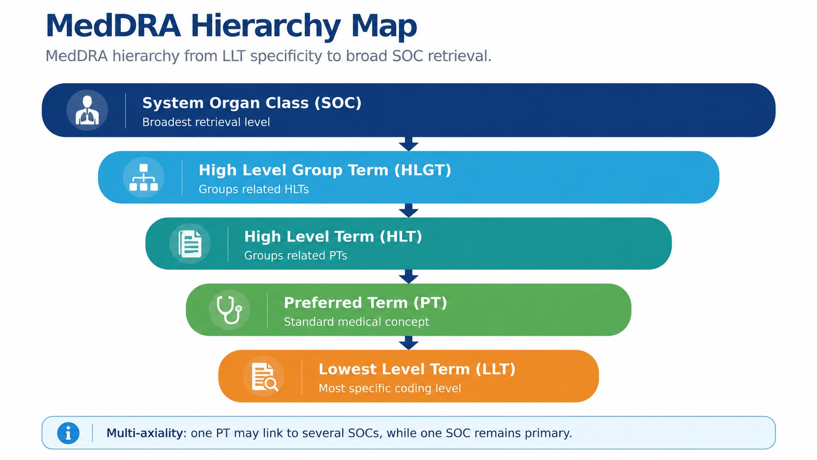 MedDRA hierarchy map