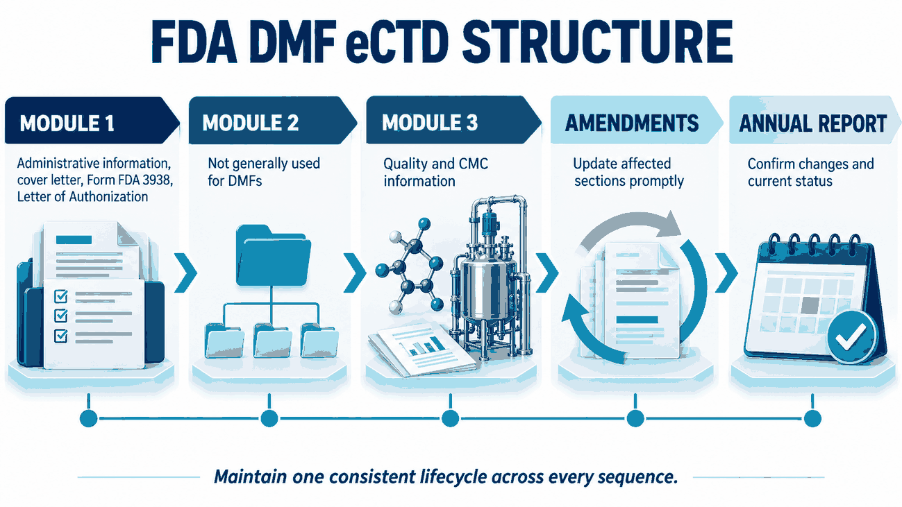 Core eCTD structure and lifecycle controls for an FDA DMF.